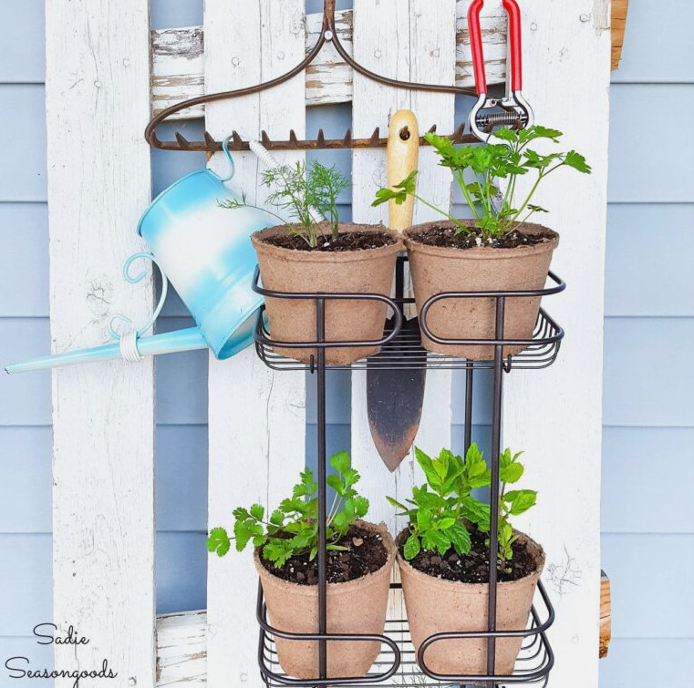 Shower caddy for herbs