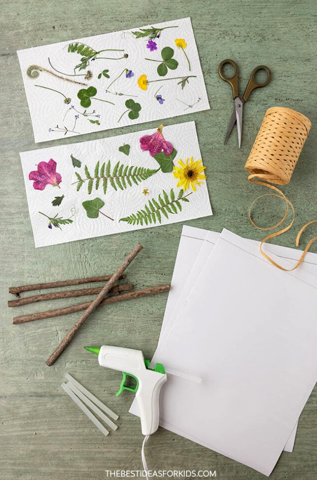 Supplies for a Nature Frame