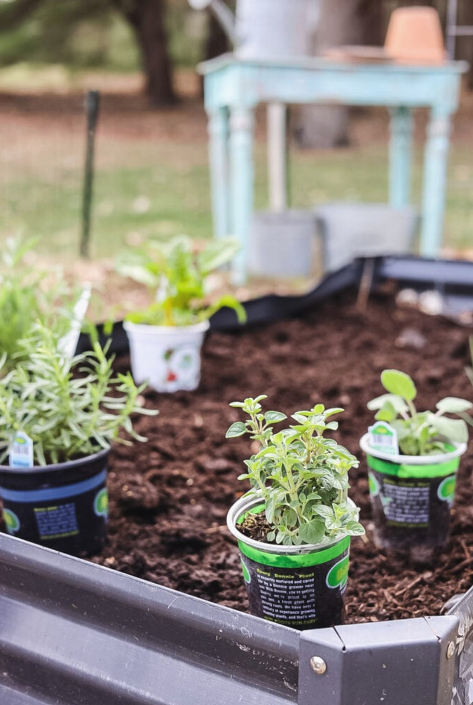 herb garden