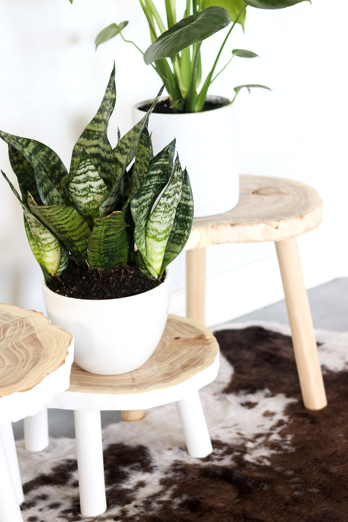 homemade wood slice plant stand