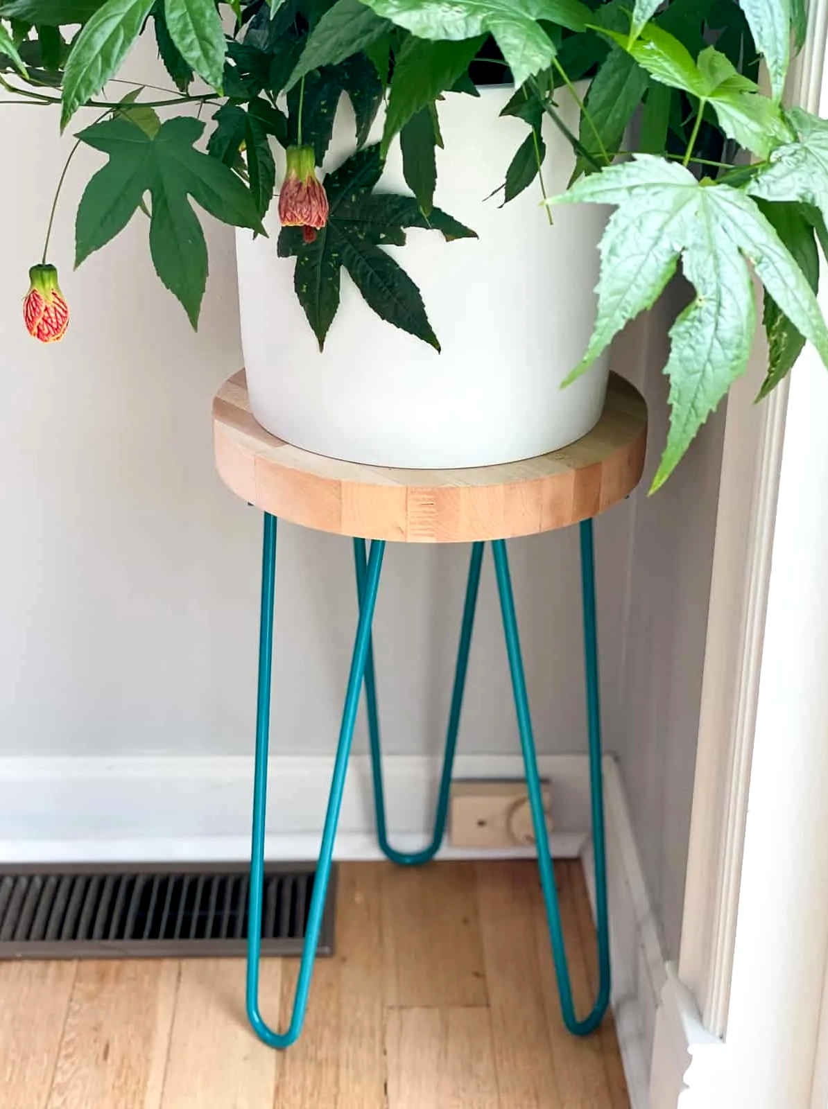 plant stand with hairpin legs