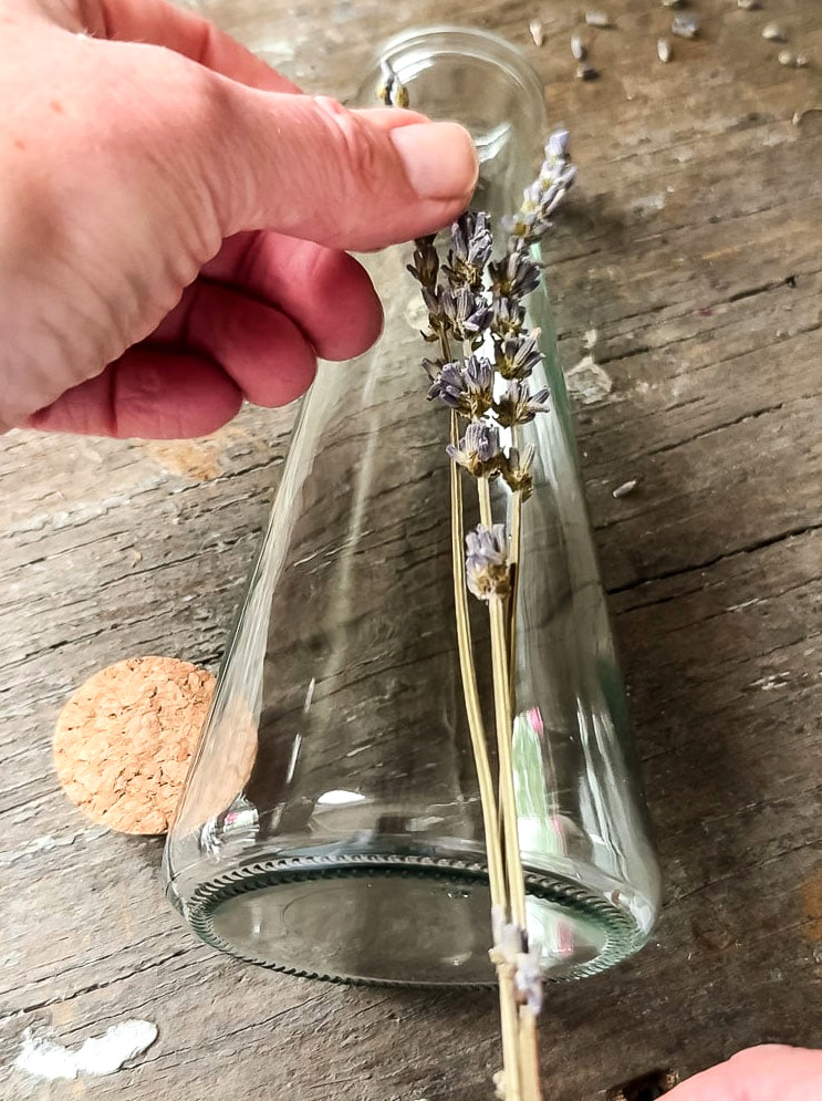 holding a piece of lavender up to a glass bottle
