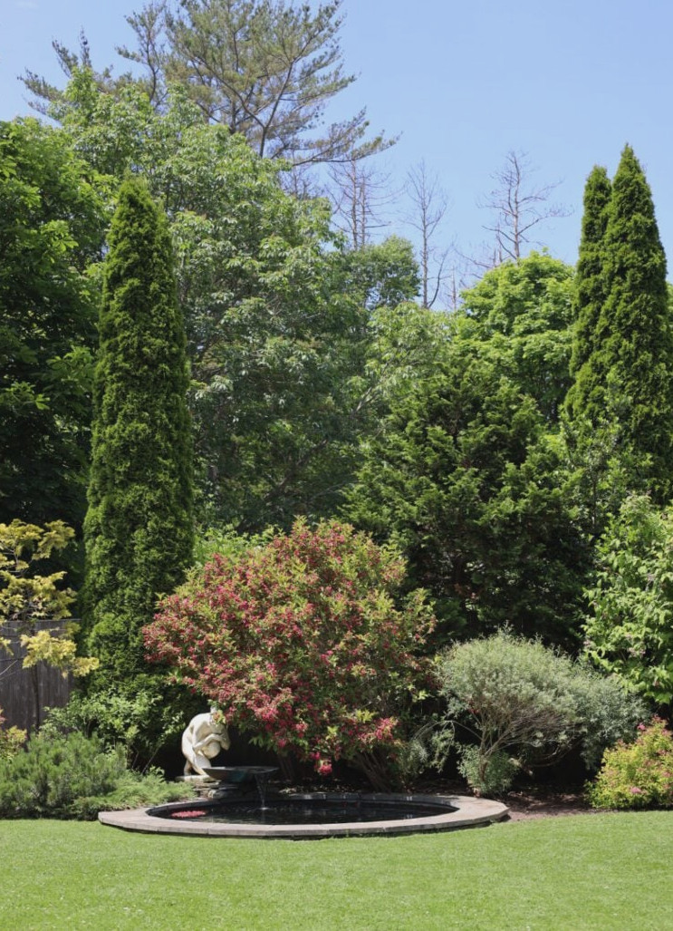trees at fuller gardens