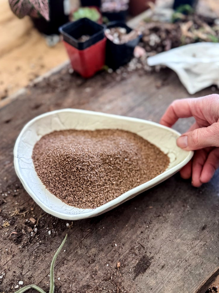 dish with sand
