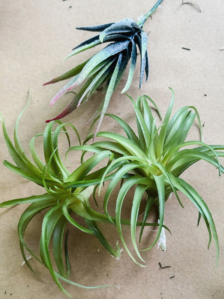 artificial air plants on brown paper