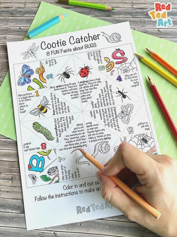 Colour in the bugs sheet