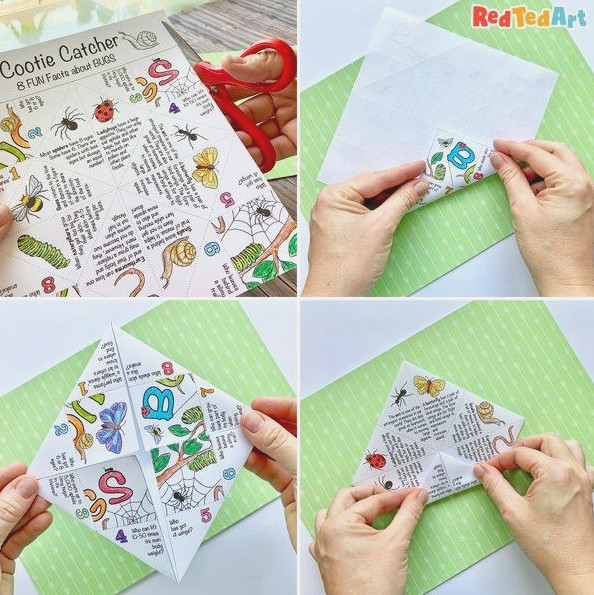 fold the cootie catcher