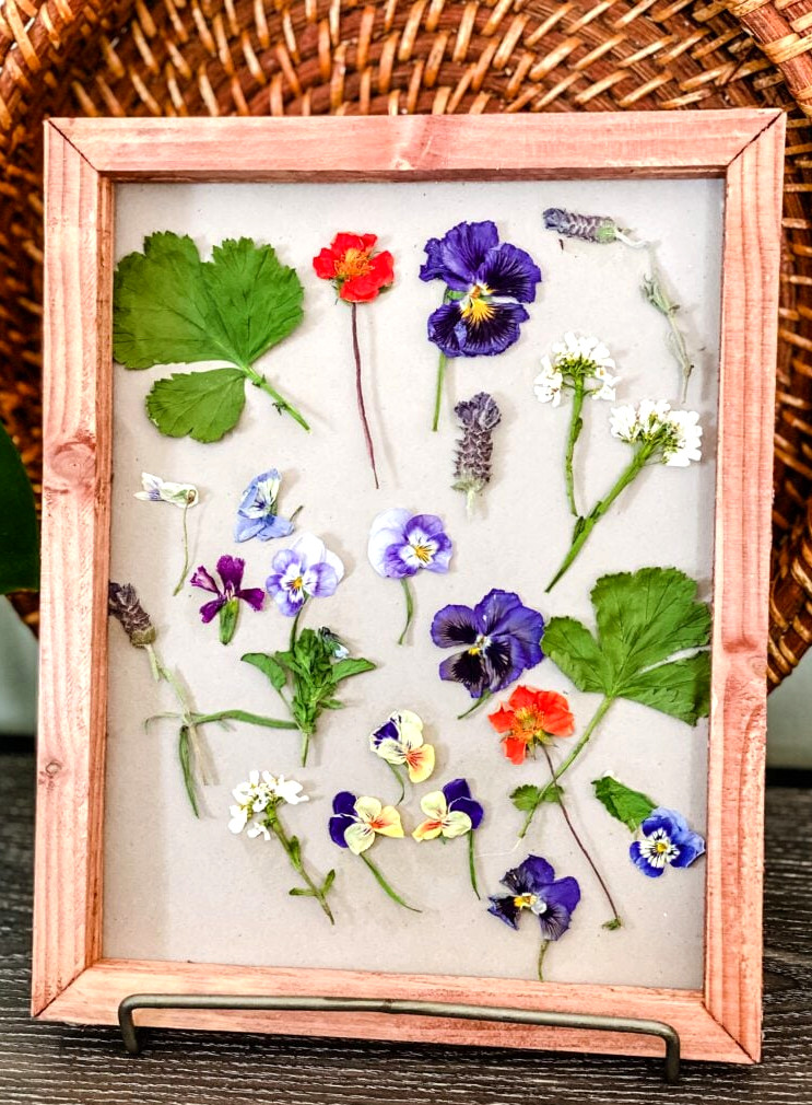 Pressed Flower Art
