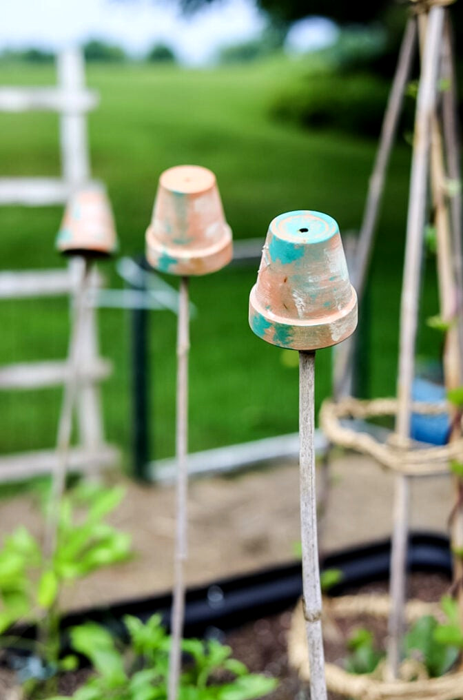 plant stakes with terracotta pots