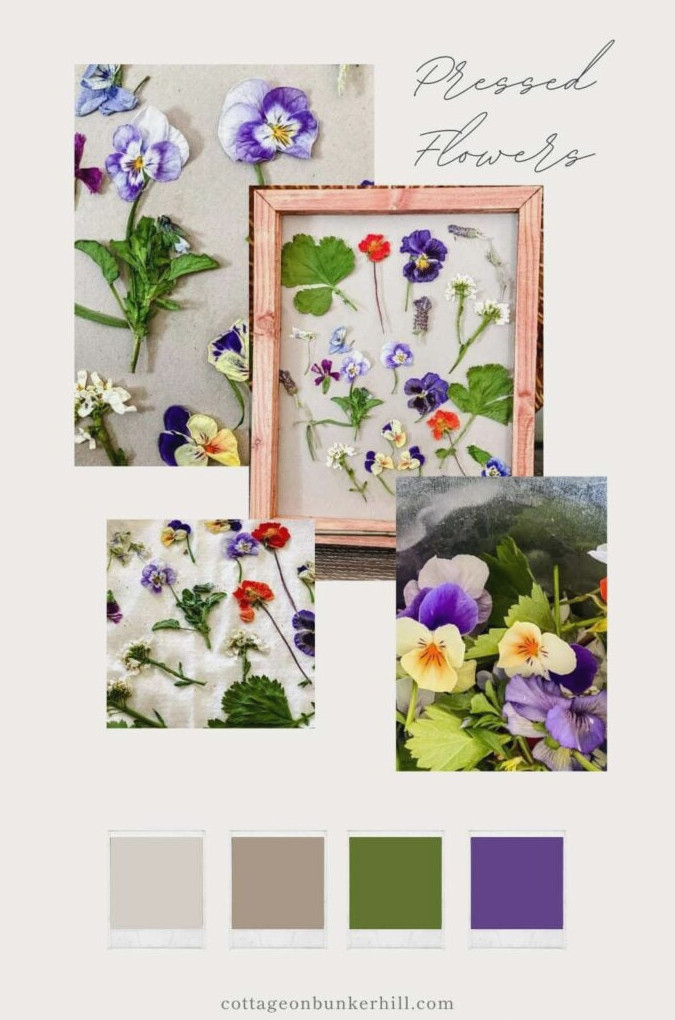 Microwave Flower Pressing: How to Press Blooms Fast