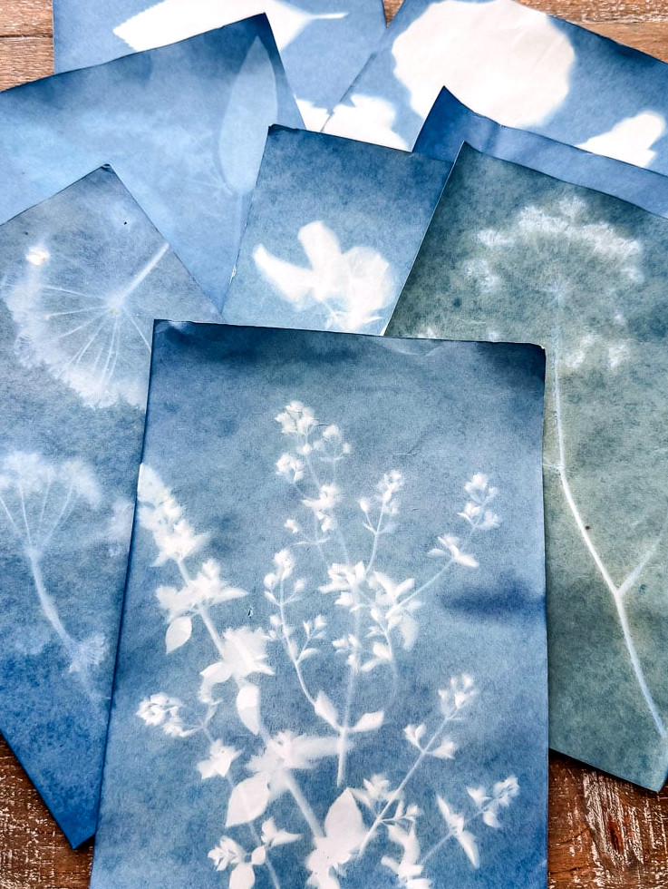 litgh blue cyanotype prints