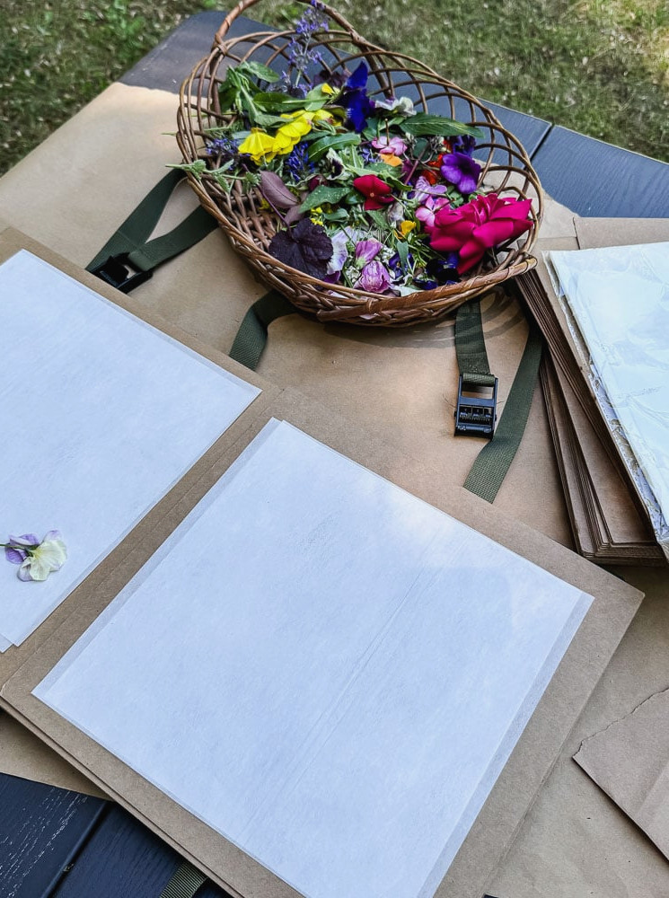 an opened flower press with blotting papers
